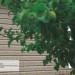 Сайдинг Ю-Пласт TIMBERBLOCK Пихта (Тимберблок) Cахалинская купить в Чебоксарах