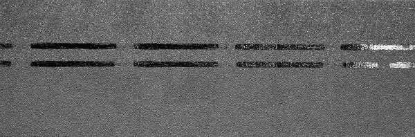 Коньково-карнизная черепица Docke Premium, черника купить в Чебоксарах