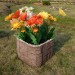 Цветник КАНЬОН купить в Чебоксарах