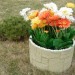 Цветник КАНЬОН купить в Чебоксарах