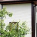 Фасадная панель Grand Line Сланец молочный купить в Чебоксарах